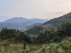 -紫鹊界梯田景区