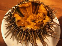 -海胆小馆(东北水饺·春柳店)