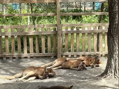 -水上乐园·欢乐世界