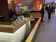 -宏宴·新京菜(望京店)