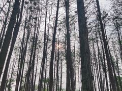 -武汉动物园