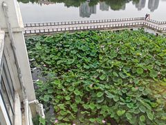 -箸福·夜上海(月牙湖公园店)