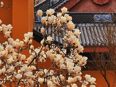 -杭州上天竺法喜讲寺