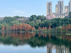 -重庆彩云湖湿地公园
