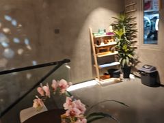 -施奈儿.洗头頭療.按摩SPA.采耳(上梅林店)