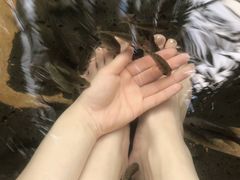 -龙达温泉生态城