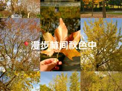 -白塘生态植物园