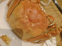 -王宝和酒家(黄浦店)