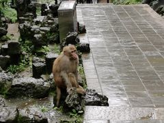 -黔灵山公园