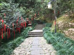 -梦姑塘文化公园