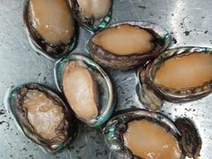 -叶存利海鲜大馅饺子(东戴河止锚湾店)