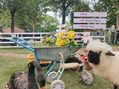 -HERRE·FARM 赫尔露营农场·团建聚会包场