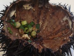 -海胆小馆(东北水饺·春柳店)