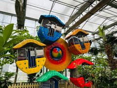 -南宫五洲植物乐园