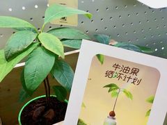 -果呀呀(国金街店)