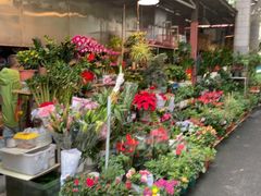 -金田水族花卉市场(银庄大厦店)