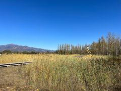 -野鸭湖国家湿地公园