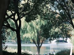 -长广溪湿地公园