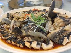 清蒸鲟鱼-京北渔家傲