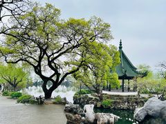 -无锡蠡湖国家湿地公园-蠡园