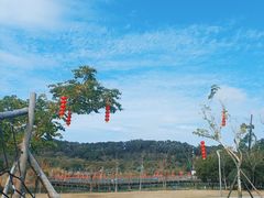 -飞凤山奥体公园