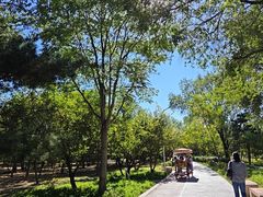 -绿堤公园
