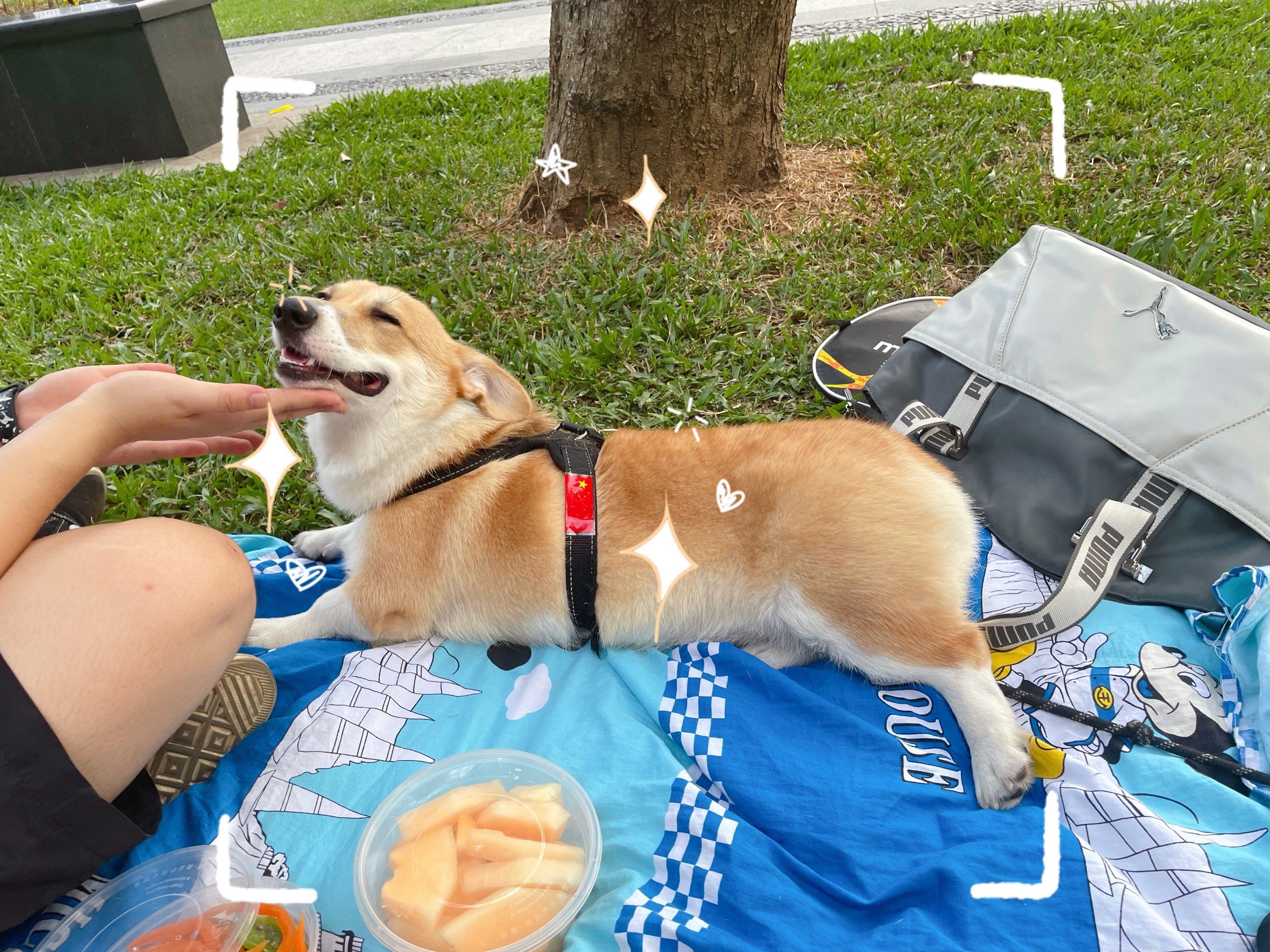 广州宠物友好公园 -临江带状公园[调皮]