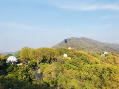 -紫金山天文台