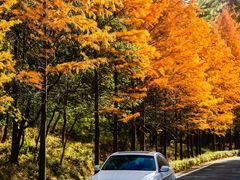 -南京市无想山景区