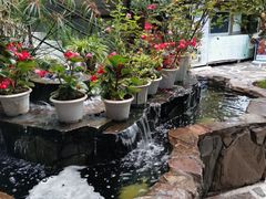 -乡村小榭饭店