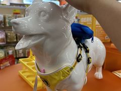 -帕帕拉兹宠物(亚洲旗舰店)