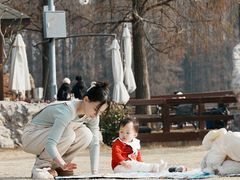 -东湖落雁景区