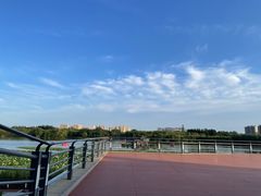 -大兴滨河森林公园