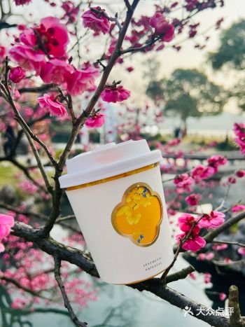 西湖边五星酒店咖啡只要9.9，薅到了