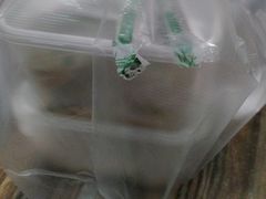 -小叶大馅饺子城