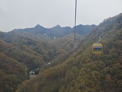 -栾川竹海野生动物园