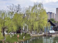 -洋湖国家湿地公园