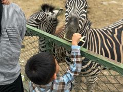 -新疆天山野生动物园