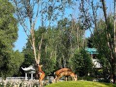 -北京野生动物园