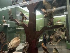 -国家自然博物馆