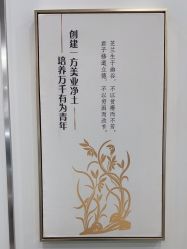 点击看大图 -镁连社·美联社