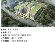 -菠萝国际教育专注Alevel·IGCSE·IB·AP·托福雅思培训辅导(静安校区)