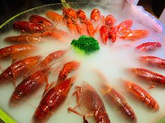 经典冰镇龙虾-红盔甲·小龙虾(天钥桥店)