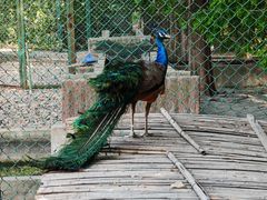-南京金牛湖风景区
