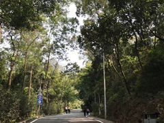 -火炉山森林公园