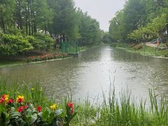 -武汉园博园(武汉自然博物馆)