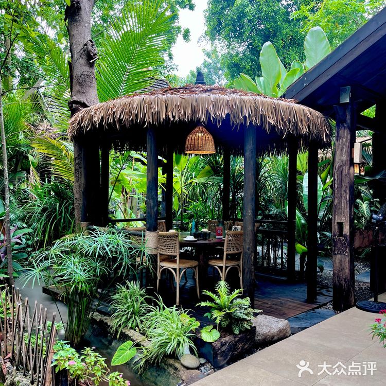 🌴l西双版纳🍃一秒穿越热带雨林
