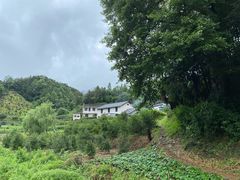 -黄山翡翠谷景区