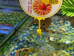 -雅盛品931海鲜酒家