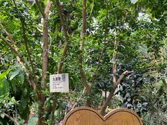 -呀路古热带植物园